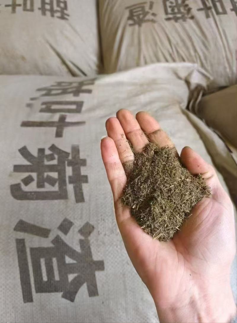 甜叶菊渣，促进吸收，增加免疫力，全国发货。