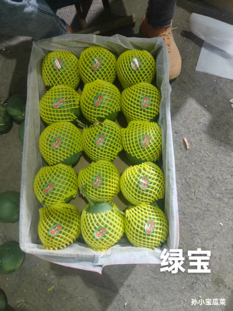 山东昌乐绿宝甜瓜一级货什么规格都有大量供应欢迎合作
