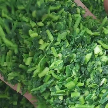 精品荠菜馅