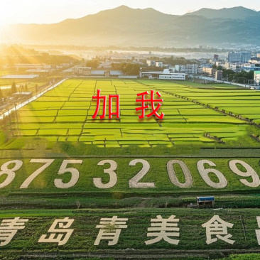 山姆同厂苹果干直接沟通