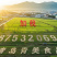山姆同厂苹果干直接沟通