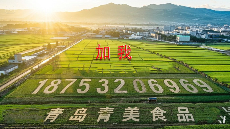 山姆同厂苹果干直接沟通