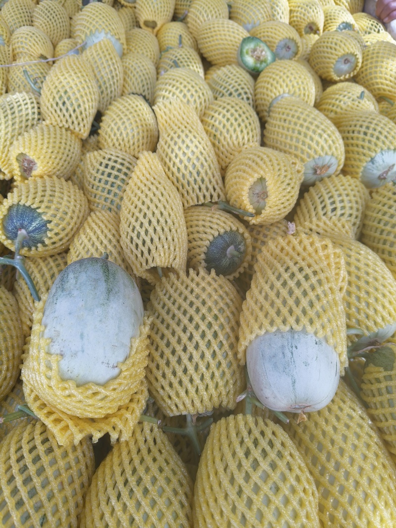 博洋72