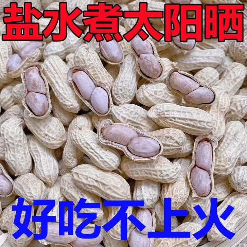 蒜香花生水煮花生厂家直销支持一件代发对接电商平台