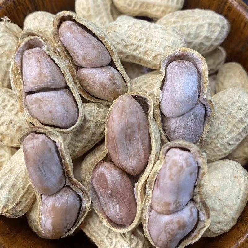 蒜香花生水煮花生厂家直销支持一件代发对接电商平台