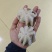 翻花小章鱼