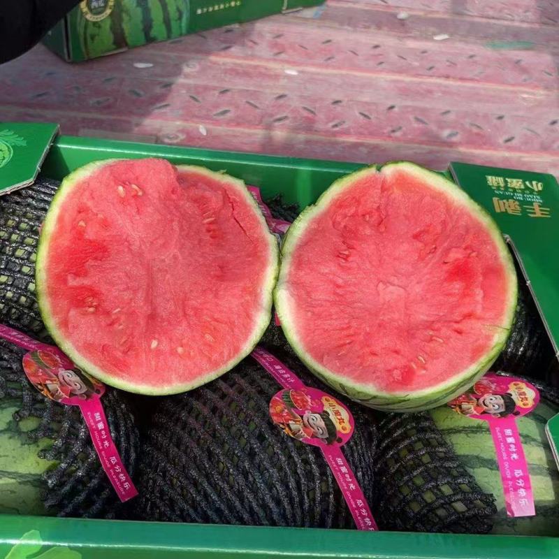 陕西一手货源小吊瓜对接全国市场清甜可口品质好热卖