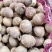 精品鲜独蒜大量供应基地直发质量保证全国发货