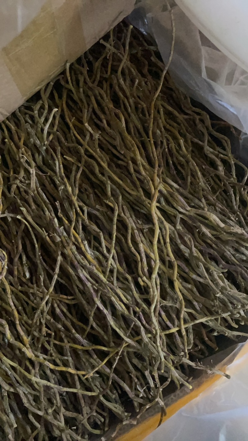 铁皮石斛干条大货批发一手货源