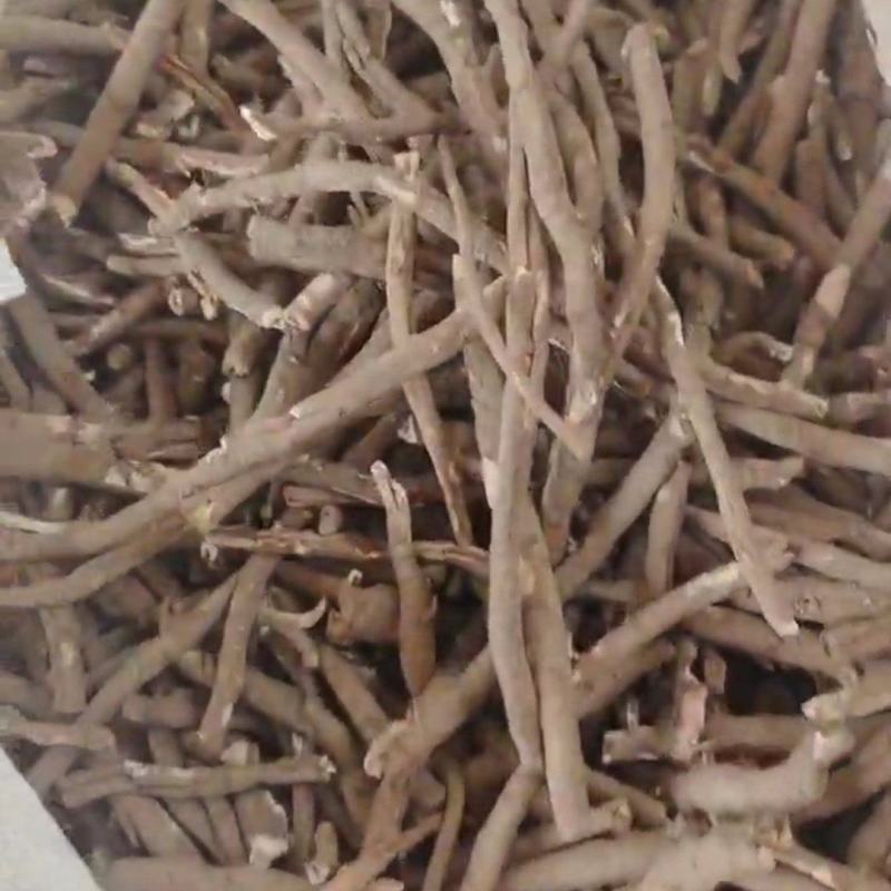 黑丹须子