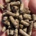 花生秧颗粒料，熟化颗粒料，好吸收好消化，全国发货。
