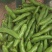 精选蚕豆大量有货保质保量价格从优欢迎广大客商联系