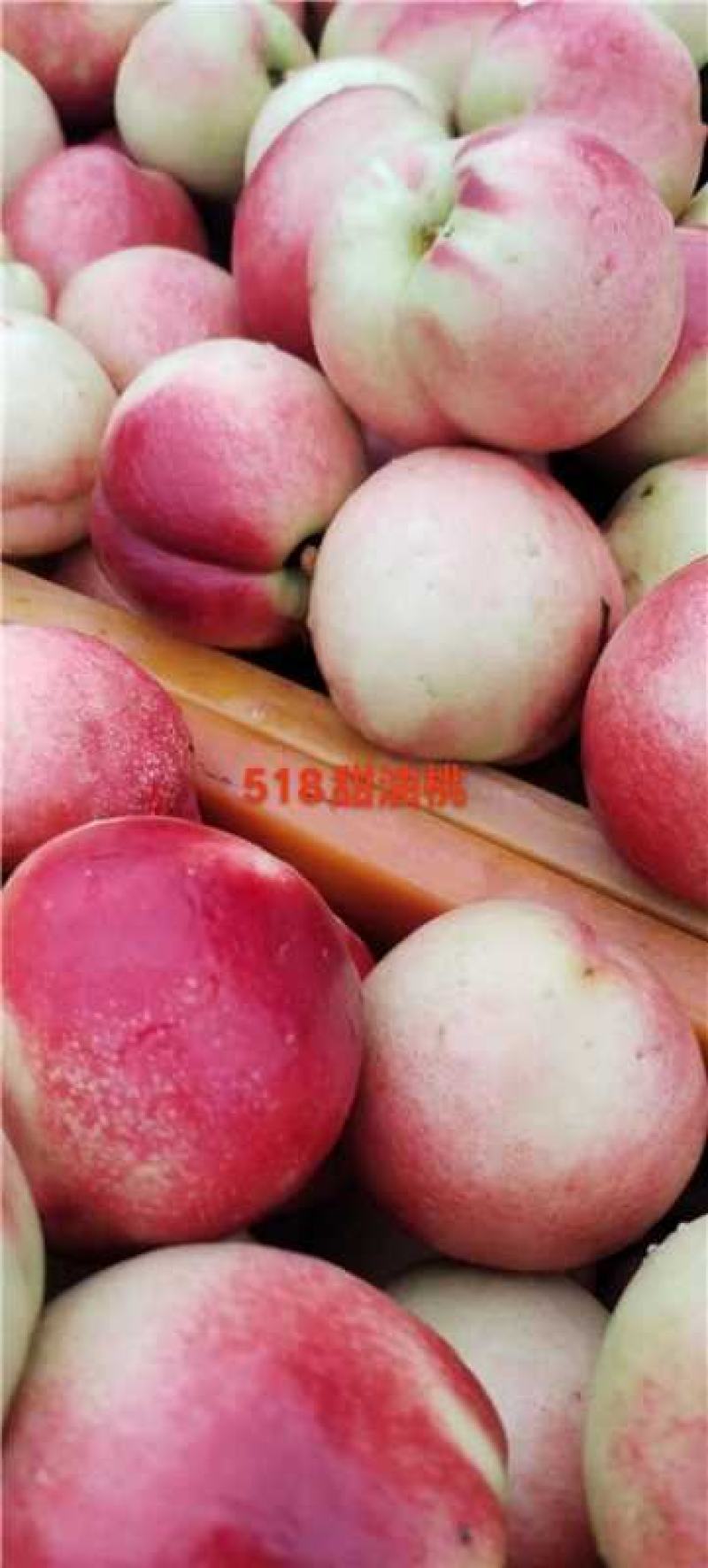 湖北油桃产地货源充足品种齐全品质保证欢迎电话联系