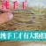 手工地瓜粉条
