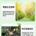 大量元素水溶肥壮元素生根提苗保花保果