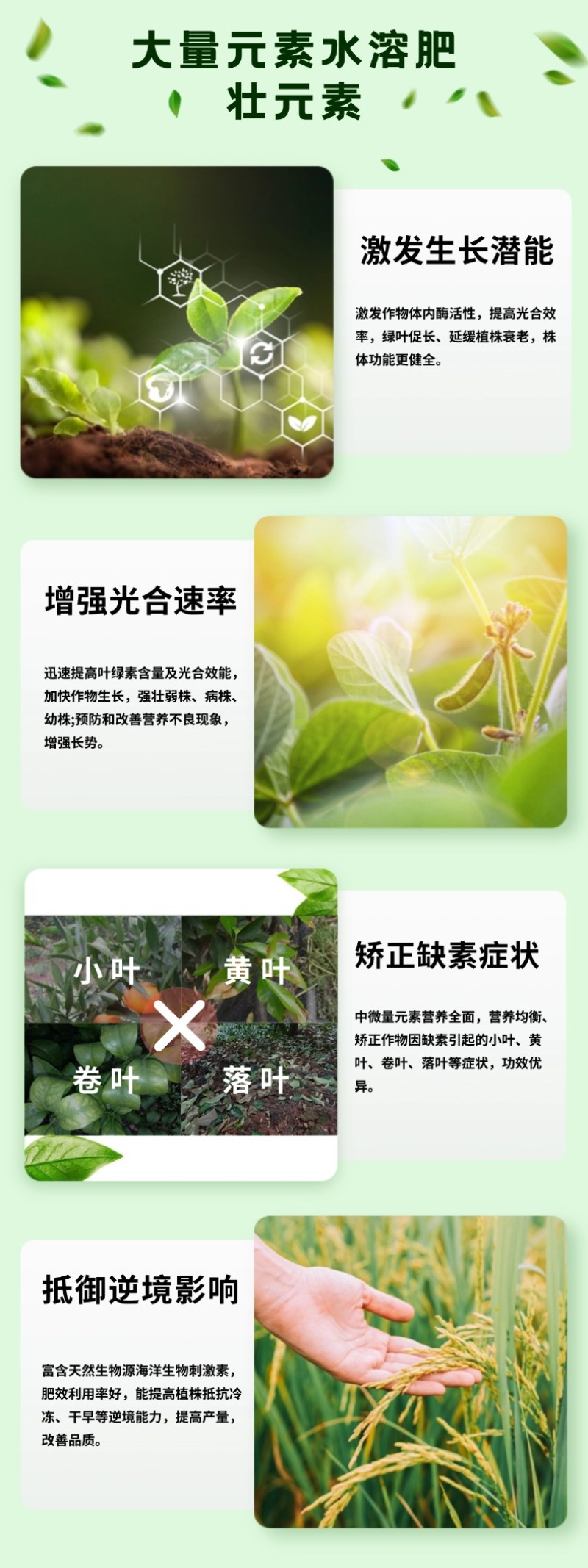 大量元素水溶肥壮元素生根提苗保花保果