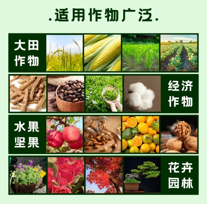 大量元素水溶肥壮元素生根提苗保花保果