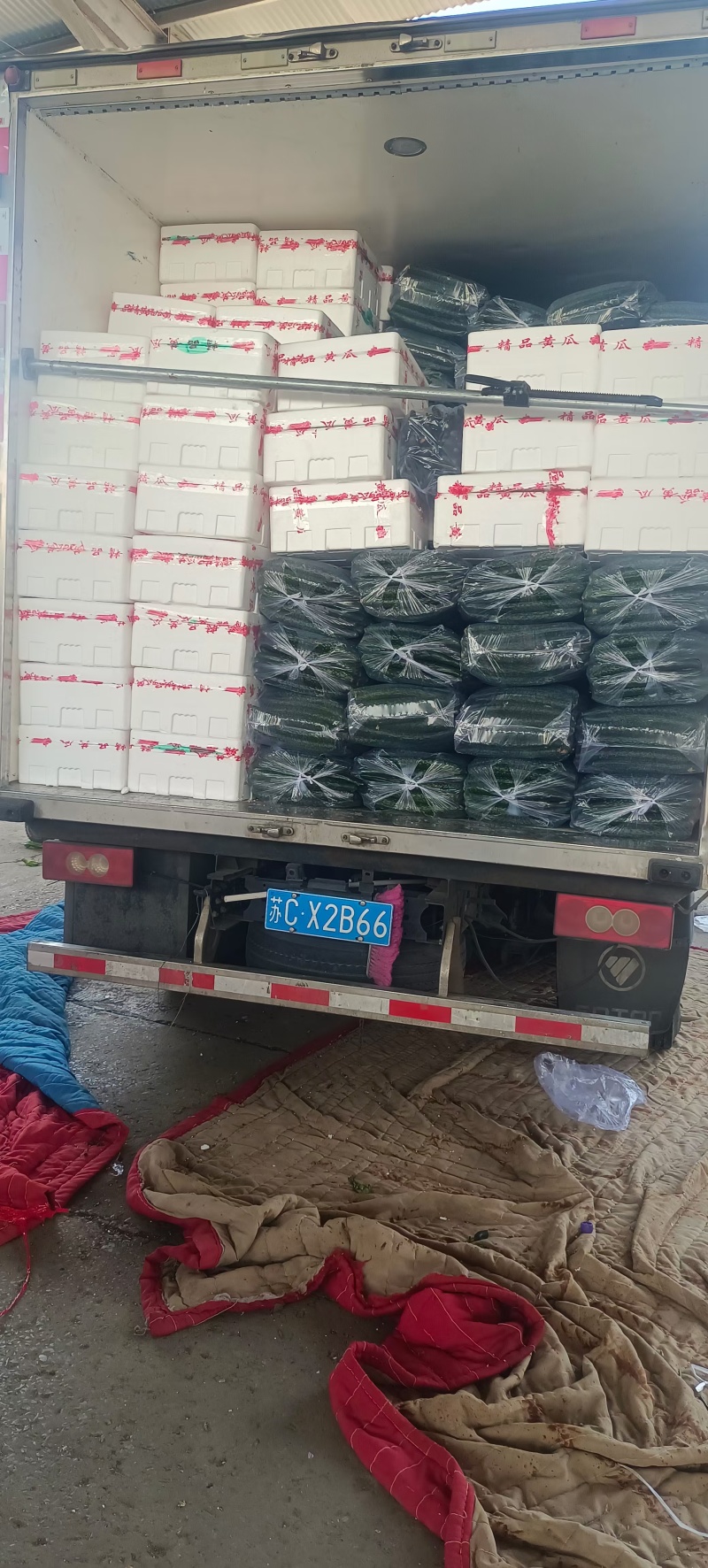 【推荐】山东兰陵密刺黄瓜大量接单产地直发量大从优欢迎来电