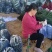 【推荐】山东兰陵密刺黄瓜大量接单产地直发量大从优欢迎来电