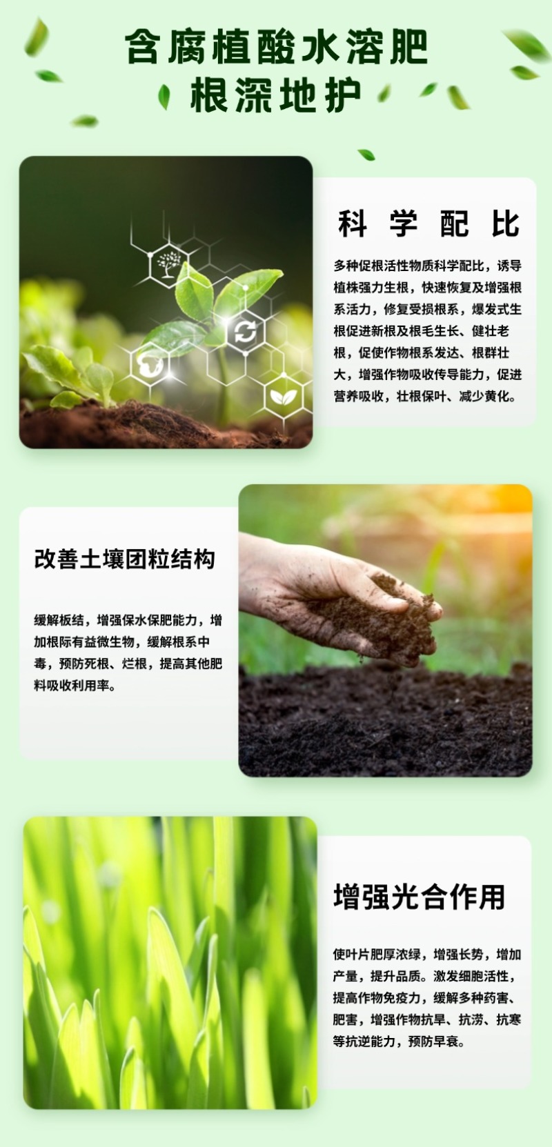 腐植酸水溶肥(根深蒂固)厂家直供快速生根