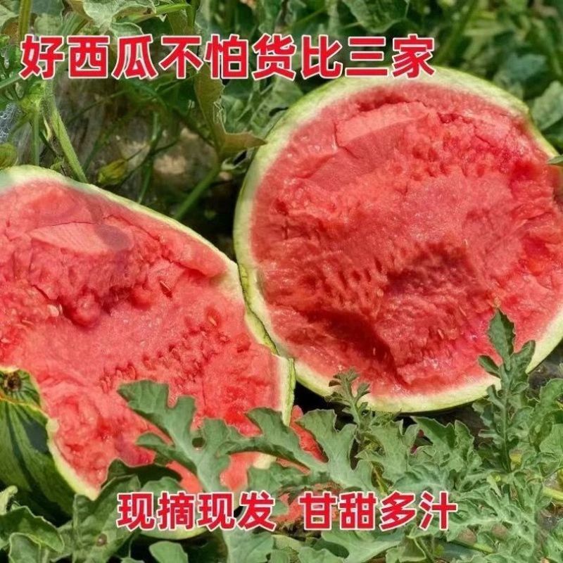 河南美都西瓜，产地一手货源，对接全国客户，价格可谈