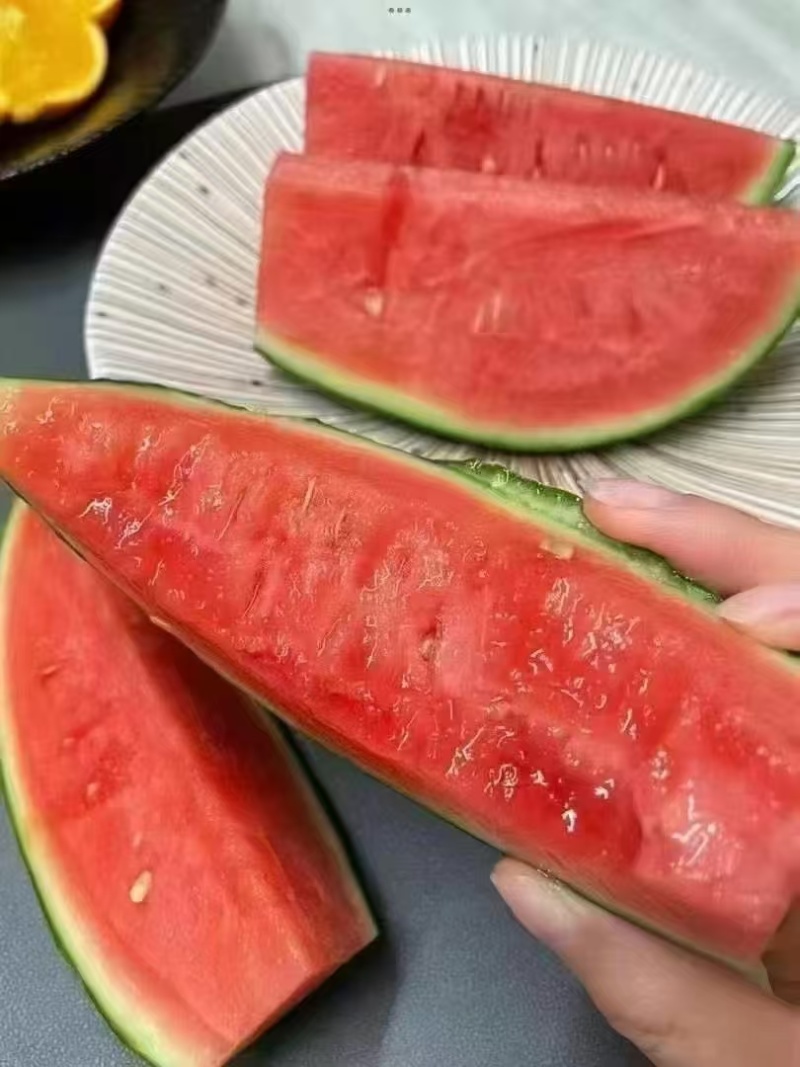 河南美都西瓜，产地一手货源，对接全国客户，价格可谈