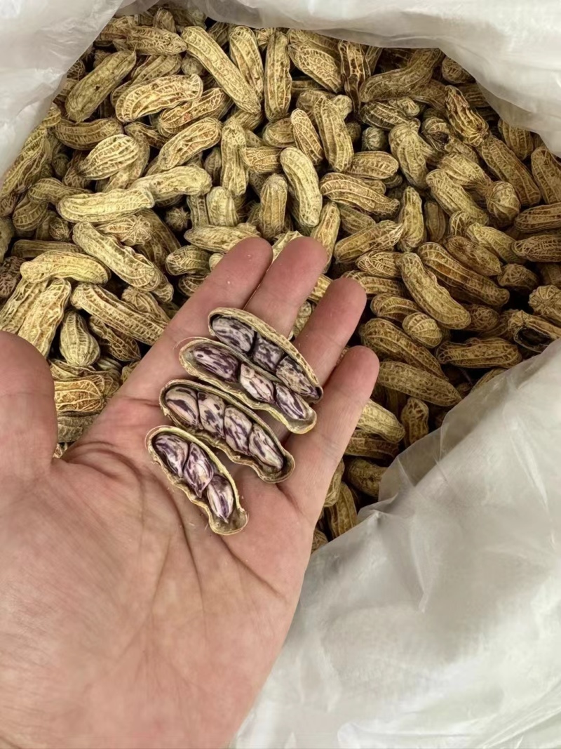 七彩花生新货产地直发原味香甜大量有货支持零售批发