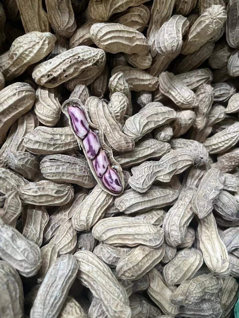 七彩花生新货产地直发原味香甜大量有货支持零售批发