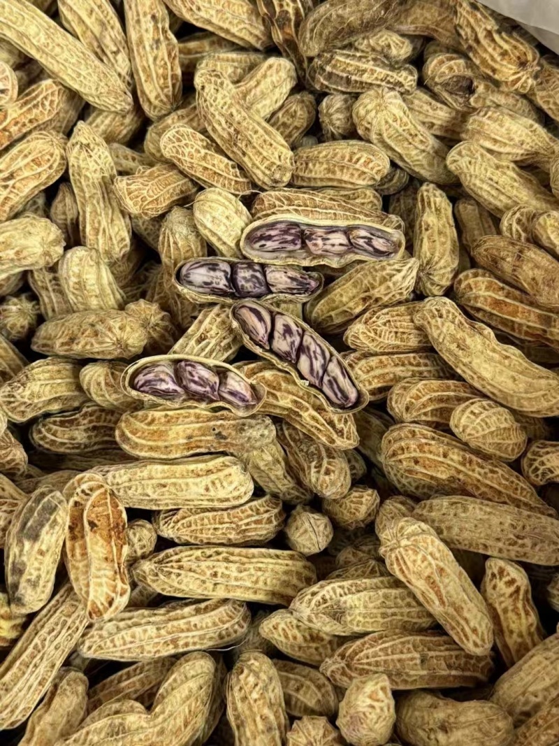 七彩花生新货产地直发原味香甜大量有货支持零售批发