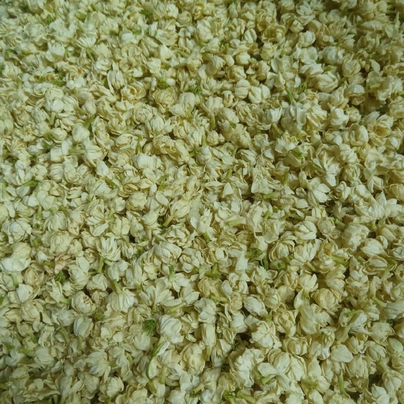 茉莉花干/横州市精品茉莉花无硫烘干/25年货/精品花干
