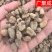 【包邮】覆盆子浙江覆盆子大颗粒各种规格产地直销泡酒泡水