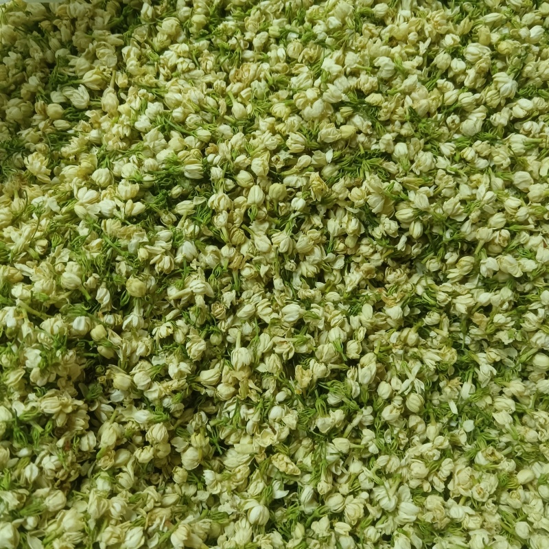 茉莉花干/横州市精品茉莉花无硫烘干/25年货/精品花干