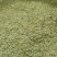 茉莉花干/横州市精品茉莉花无硫烘干/25年货/精品花干