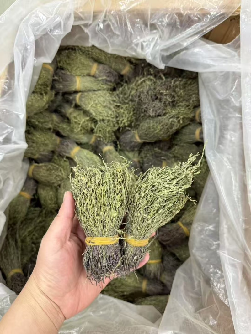 独脚金疳积草自然晾晒吃的放心保质保量对接全国客户