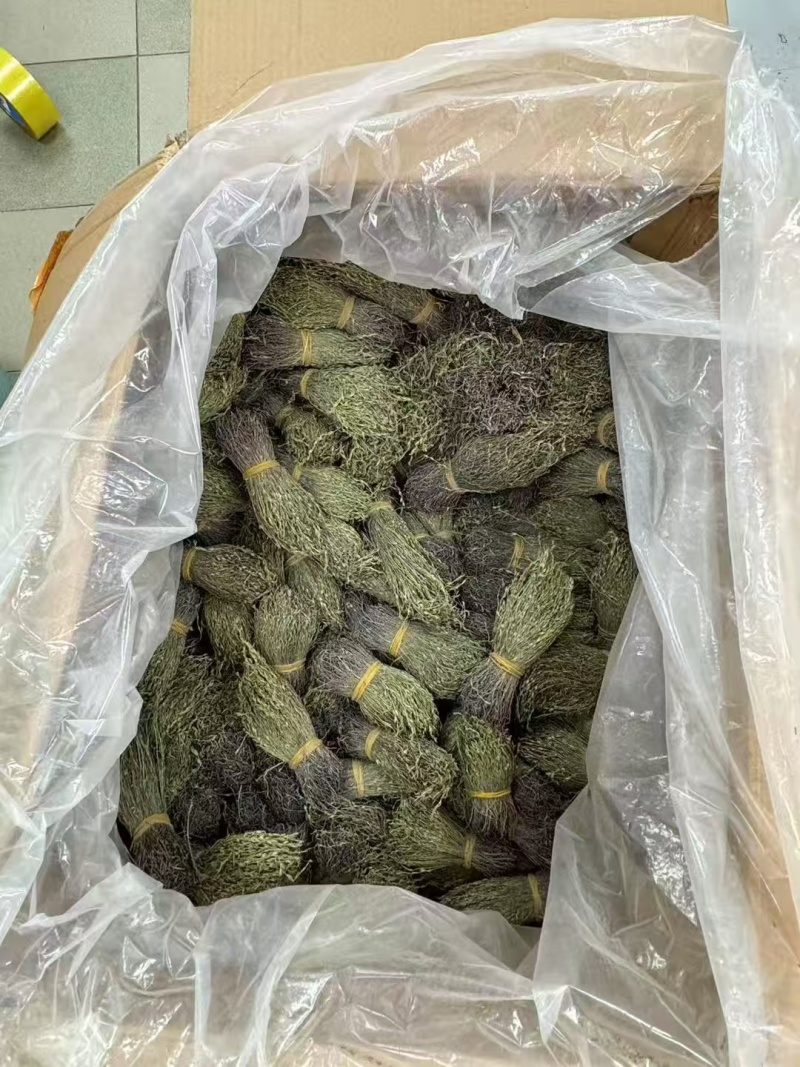 独脚金疳积草自然晾晒吃的放心保质保量对接全国客户