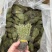 独脚金疳积草自然晾晒吃的放心保质保量对接全国客户