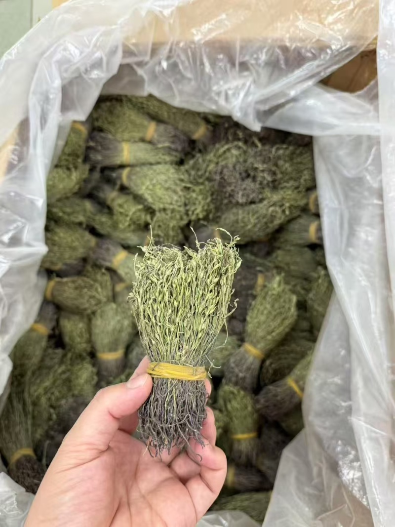 独脚金疳积草自然晾晒吃的放心保质保量对接全国客户