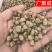 【包邮】覆盆子浙江覆盆子大颗粒各种规格产地直销泡酒泡水