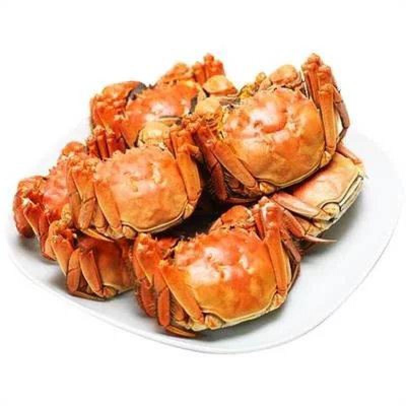 螃蟹，基地直供高品质可电商代发可批发