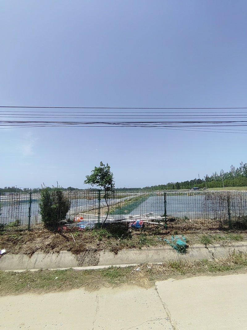 螃蟹，基地直供高品质可电商代发可批发
