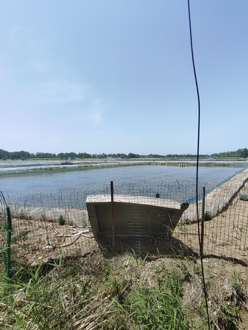 螃蟹，基地直供高品质可电商代发可批发
