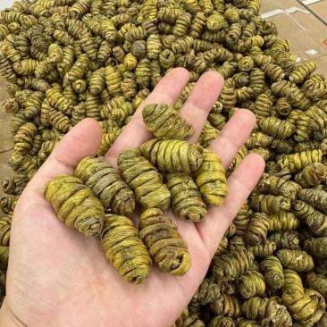 包邮正宗铁皮石斛精选高品质好石斛胶质饱满营养丰富