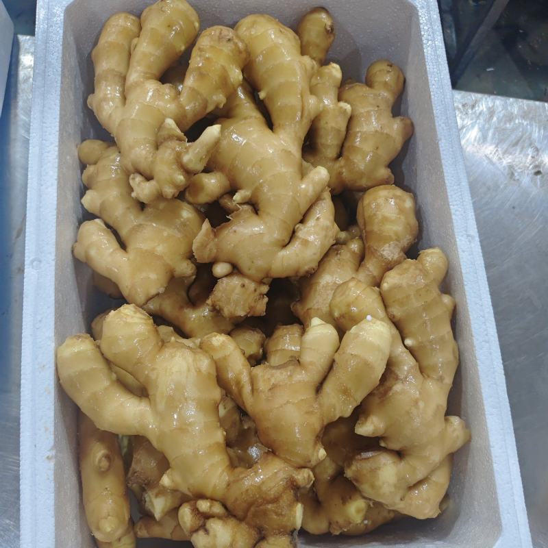 山东大黄姜水洗姜，风干姜产地直供，一手货源