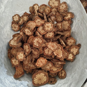红藤批发价格