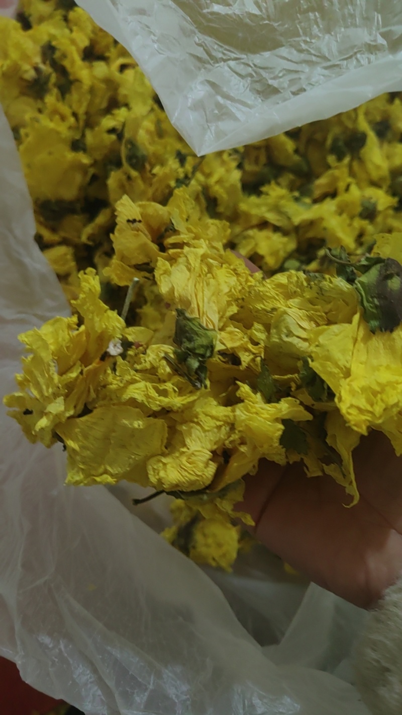 黄蜀葵花大货价格