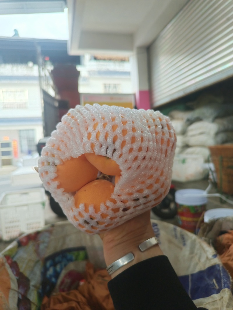 汉源大五星枇杷，代办
