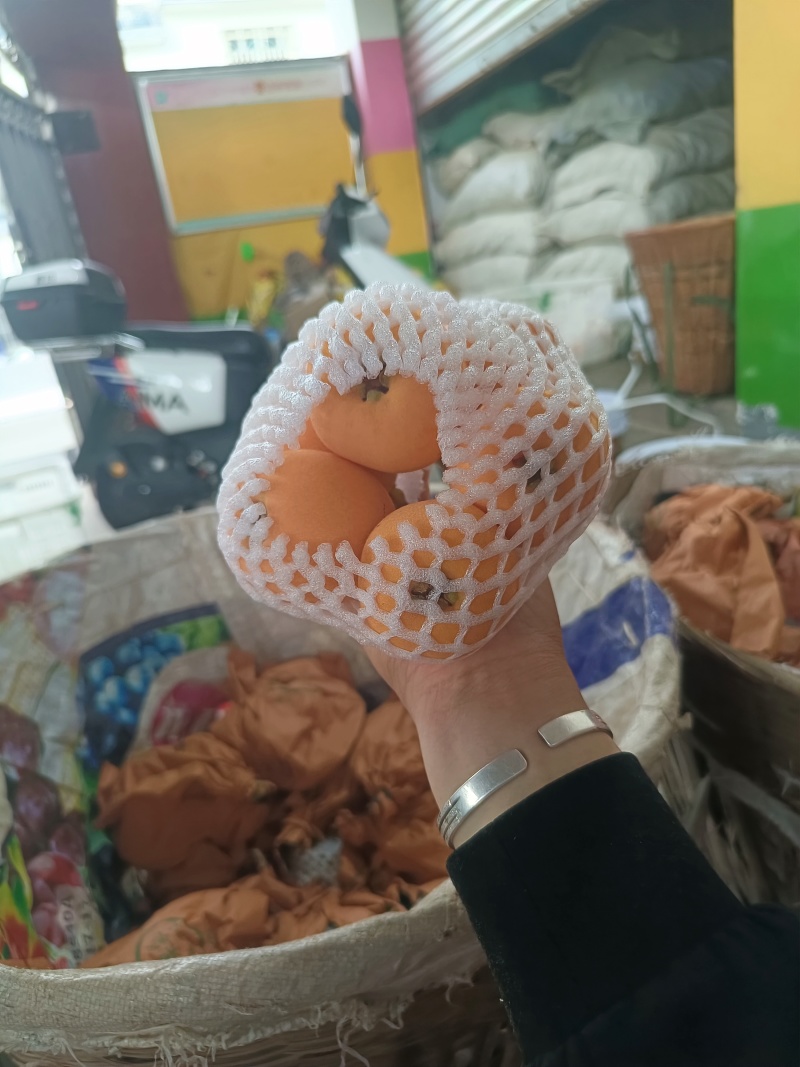 汉源大五星枇杷，代办