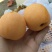 汉源大五星枇杷，代办