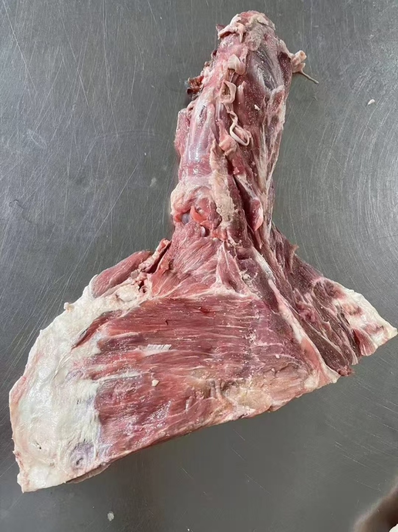 满肉方肩骨羊副产品长期供货量大价优欢迎各地老板电联