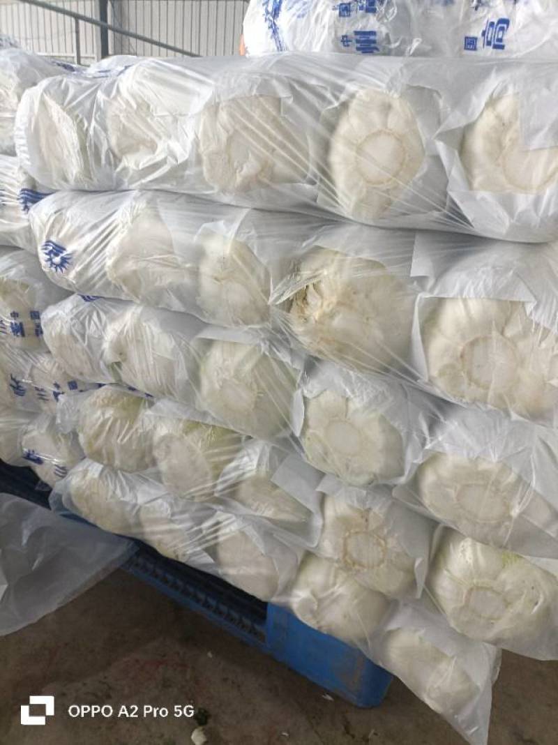 新鲜奥奇娜，天然***，健康美味，直供您的餐桌！